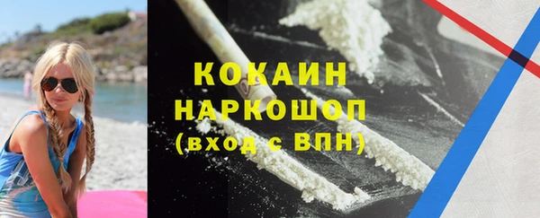 мескалин Бородино