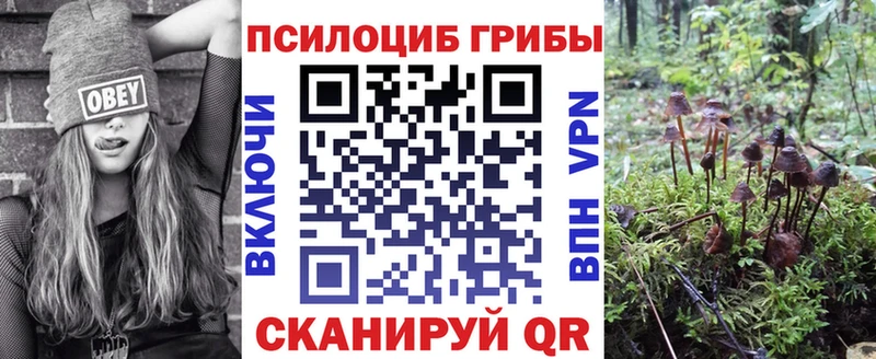 Псилоцибиновые грибы мухоморы  Дзержинск 